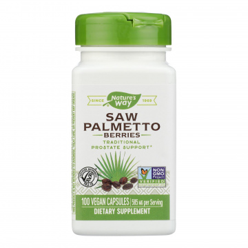 NW Saw Palmetto